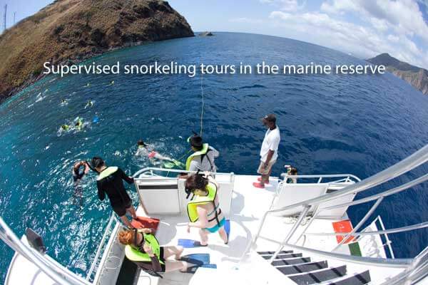 Snorkeling with Dive Dominica