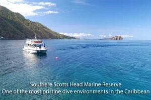 Dive Dominica - Soufriere Scotts Head Marine Reserve