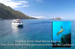 Dive Dominica - Soufriere Scotts Head Marine Reserve