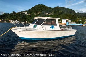 dive dominica dive boat Yan-Yan